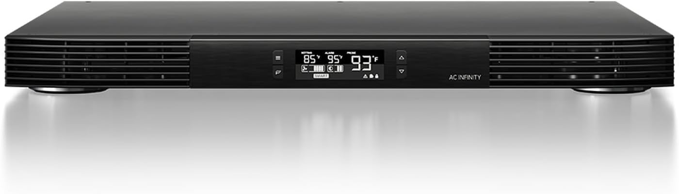 Vue 12