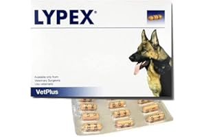 VetPlus Lypex - 60 Kapseln