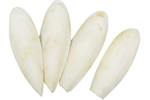 Leikedun 4 PCS Large Cuttlefish Bone (13-16cm), Natural Cuddle Bone for Parrots, Cage Birds, Reptiles, Tortoises, Snails