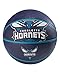 Produktbild NBA Charlotte Hornets spaldingteam Logo, Multi, 74,9 cm