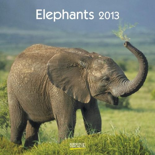 Elephants 2013. Broschürenkalender