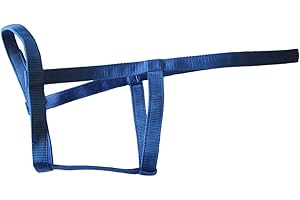 Rhinegold Licol sans métal