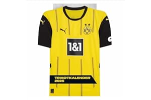 BVB Trikotkalender 2025: Kalender im originalen Trikot-Design, perfekt für Fans des BVB. Die tollsten Spielerfotos in einem dekorativen Wandkalender. (Bundesliga Kalender Heye)