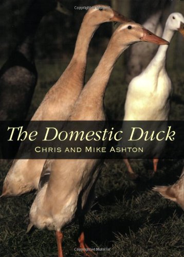 The Domestic Duck