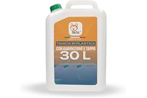 Akitaink - Tanica 30 Litri in Plastica Riciclata | Fusto Chiusura Ermetica, Manico Robusto, Colore Neutro, Ideale per Liquidi Alimentari e Oli, Made in Italy
