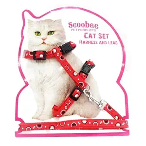 PSK PET MART Cat Adjustable Nylon Printed Harness Strap Collar with Leash Set Small Pet Walking for Kitten- Printed (Color May Vary)