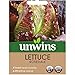 Produktbild Unwins Salatsamen - Rosedale