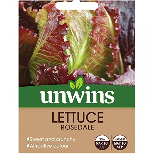 Preisvergleich Produktbild Unwins Salatsamen - Rosedale