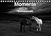 Produktbild Momente in Schwarzweiß (Tischkalender 2019 DIN A5 quer): Fine Art Fotografie in Schwarzweiß - Impressionen besonderer Momente (Monatskalender, 14 Seiten ) (CALVENDO Natur)