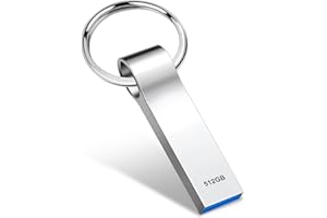 Aogamb USB Stick 512GB Fast Speed USB Flash Drive 3.0 Silver Memory Stick Portable USB Memory Sticks Suitable for Transferring and Saving data on Computers(512gb)