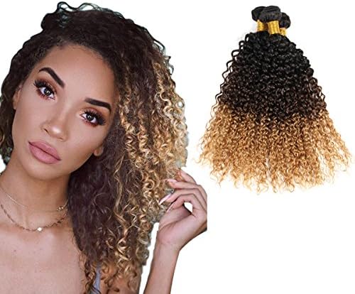 HmtAfro Ombre Brazilian Hair Bundles 9A Grade 300 Gram Kinkys Curly(#1b-#4-#27) (12'' 14'' 16'')