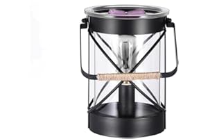 Astin of London Electric Wax Melt Burners, Wax Warmer Oil Burners Wax Melter Essential Oils Burner, Night Light Oil Lamp for Home Decoration (Bulb)