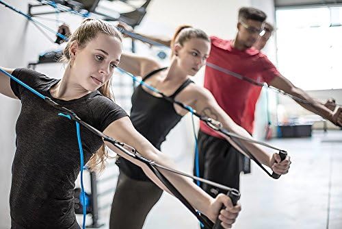 aeroSling Pulley Suspension Trainer ELITE Plus, Online Fitness DVD, Premium Suspension Trainer