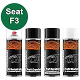 Klarlack-Sprühdose mit Weichmacher als hochglänzender aber elastischer Abschluss