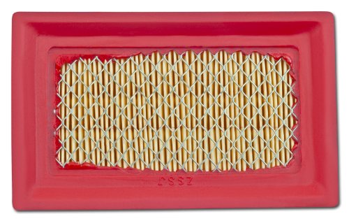 Arnold 3011-M6-0001 Luftfilterset MTD (Luftfilter und Vorfilter) - 4