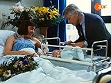  Familienzuwachs: Werner informiert sich ...