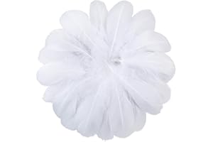 Fearafts Paquete de 100 plumas de cisne de ganso blanco, bricolaje para artes y manualidades, proyectos, decoración de boda para el hogar y más, paquete de 12 cm a 18 cm