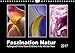 Produktbild Faszination Natur (Wandkalender 2017 DIN A4 quer): Außergewöhnliche Makro-Eindrücke in die Welt der Natur (Monatskalender, 14 Seiten ) (CALVENDO Natur)