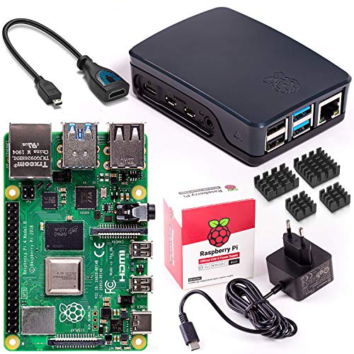 Vilros Raspberry Pi 4 Model B Basic Starter Kit con Accesorios Oficiales Incluido: Raspberry Pi 4 Model B con 5 Accesorios Esenciales Negro/Gris 4 GB
