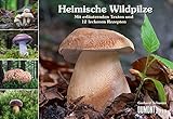 Heimische Wildpilze 2013 Broschürenkalender: Mit erläuternden Texten und 12 leckeren Rezepten by 
