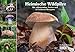 Heimische Wildpilze 2013 Broschürenkalender: Mit erläuternden Texten und 12 leckeren Rezepten by 