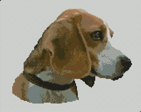 Beagle Head Dog Counted Cross Stitch Kit 11.5" x 9" 29.2cm x 23.2cm D2296