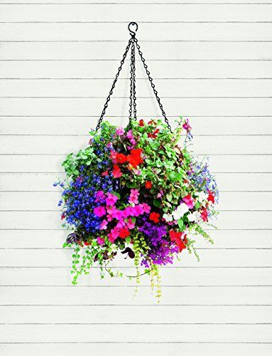 Gardman Schmiedeeiserne Blumenampel, 40 cm - 2