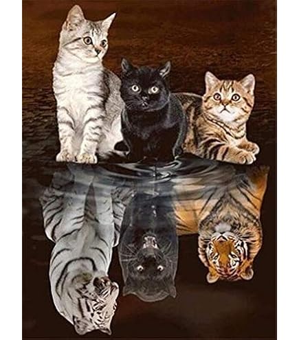 Max Stitch Design Cat Counted Cross Stitch Kit - 14ct, 150x150 Stitches, 37x37cm - View #10