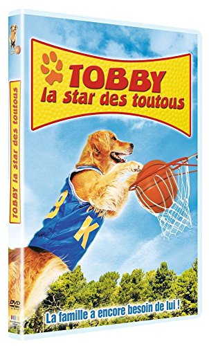 Tobby, la star des toutous