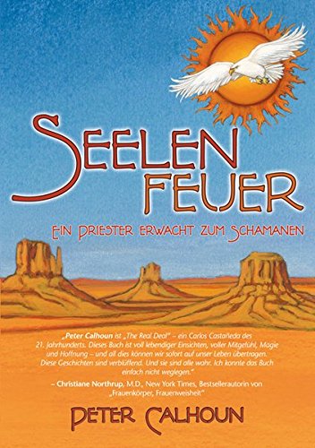 Seelenfeuer: Ein Priester erwacht zum Schamanen
