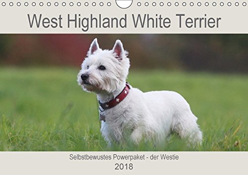 West Highland White Terrier - Selbstbewustes Powerpaket - der Westie (Wandkalender 2018 DIN A4 quer): Kleine weiße Powerpakete - so sind sie bekannt - ... [Kalender] [Apr 13, 2017] Mielewczyk, Barbara