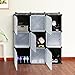 Songmics Interlocking Storage Cube Organiser Shelf / Shoe Rack / Wardrobe Cabinet 112 x 112 x 37 cm Black LPC116