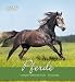 Pferde 2014 Postkartenkalender by 