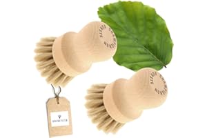 HOFMEISTER HOLZWAREN HOFMEISTER® Lot de 2 brosses à champignons, pour nettoyer en douceur les champignons ou les légumes, en crin de cheval doux et bois de hêtre
