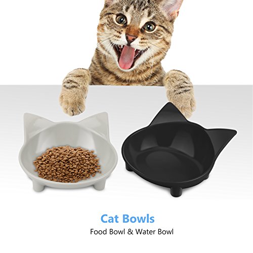 best cat food bowls to prevent whisker fatigue