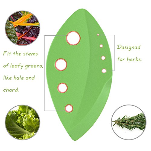 Nuovoware Kräuterentferner Blatt Stripper, [2 Stücken] Kohl, Zuckerrüben, Grünkohl und Kraut Scheider mit verschiedenen Größen Löcher und Plastik Schermesser, Beste Gemüse Küchenhelfer, Grün - 4