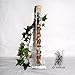 Produktbild Edelsteinwasser Wassersteine PREHNIT Aqua Fortis®