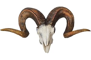 Hansmeier Cabeza de Oveja Escultura de la Pared Decoración Mural Cabeza de Animal Estilo Rústico Envejecido - 64 x 37 cm
