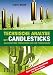Produktbild Technische Analyse mit Candlesticks. Alle wichtigen Formationen und ihr Praxiseinsatz