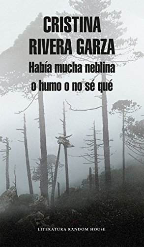 Download Había mucha neblina o humo o no sé qué: Caminar con Juan Rulfo