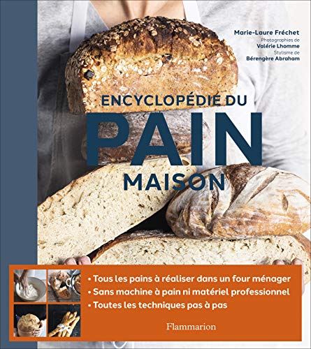 Télécharger Encyclopédie du pain maison livre En ligne