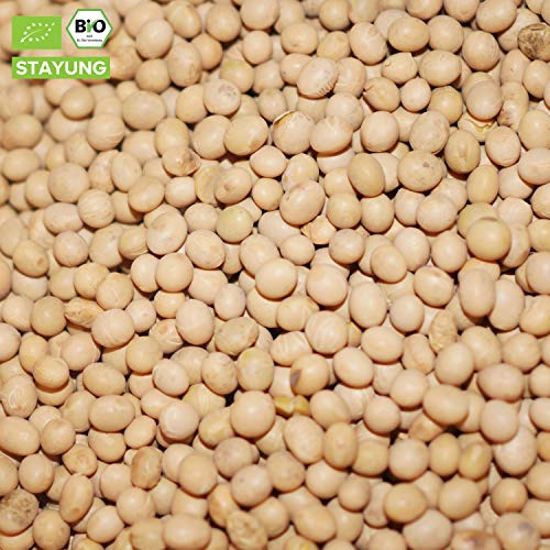 Preisvergleich Produktbild Bio Sojabohnen aus Italien Plastikfrei in Papiersack verpackt / 10 kg Keimfähig / unbehandelt / asiatische Küche / Keimfähig für Sojasprossen / in kompostierbarer Verpackung / STAYUNG