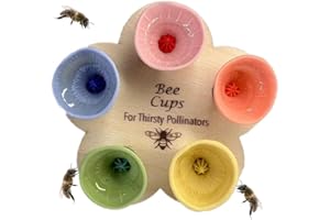 GLDHGBCD Bee Insect Drinking Cup 5 Colors Insect Drinking Cup Thirsty Pollinators Need a Drink Rainbow Bee Feeding Cup Colourful Drinking Cup for Garden Bee Hummingbird Feeder Insect Need Safe Places to Drink