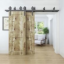 Suchergebnis auf Amazon.de für: Scheunentor