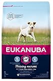 comida humeda perros senior Con sabor a pollo EUKANUBA Edad avanzada Próspero Raza Pequeña rico en pollo fresco [3 kg]