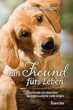 Image de Ein Freund fürs Leben: Was Hunde uns über Gott, das Leben und die Liebe zeigen
