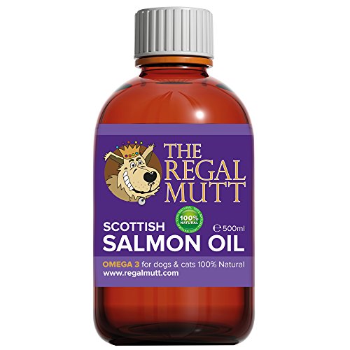 The-Regal-Mutt-500-ml-Salmon-Fish-Oil-for-Dogs--Charity-Donation-to-Four-Paws-Animal-Rescue--100-Natural-Nutritional-Supplement--Pure-Premium-Scottish-Salmon-Oil--Promotes-Coat-Joint-Brain-Health--100