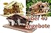 Produktbild Holz Weihnachtskrippe + Zubehör, KA70na-MFHO-ALP mit hochwertigen PREMIUM Krippenfiguren / FARBIG HANDBEMALT ODER GEBEIZT (Foto), 13er SET in edler Echtholz-Optik, mit 3 Königen aus dem Morgenland - saubere Gesichtszüge , feine Mimik, Zubehör für Weihnachtskranz Weihnachtkrippen Spielkrippe Krippenspiel, Licht Beleuchtung als Krippenzubehör - Krippenspiele basteln bauen