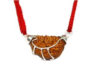 55Carat Elija su laboratorio original certificado Nepali Rudraksha 1 a 13 Mukhi Ganesha Gauri Shankar 925 Sterling Silver Colgante Astrología Joyería para mujeres y hombres
