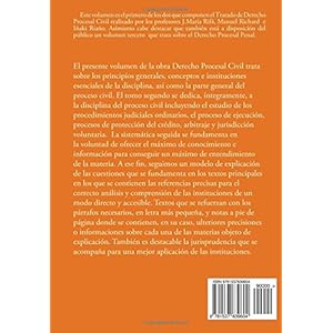 Derecho Procesal Civil I: Volume 1 (Coleccion de Derecho Procesal)